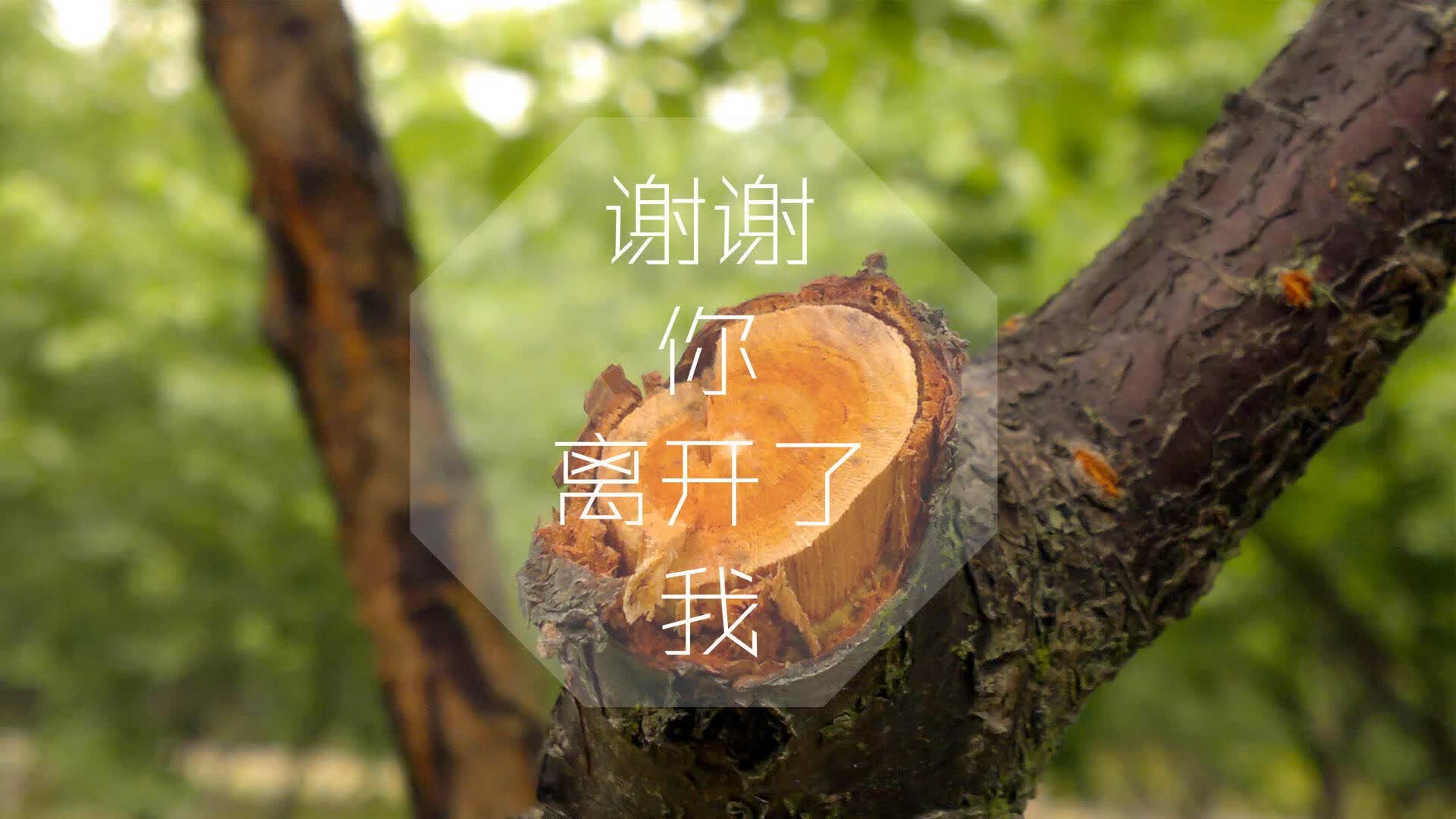 家居照明设计案例大全集图片（家居照明品牌排行榜）
